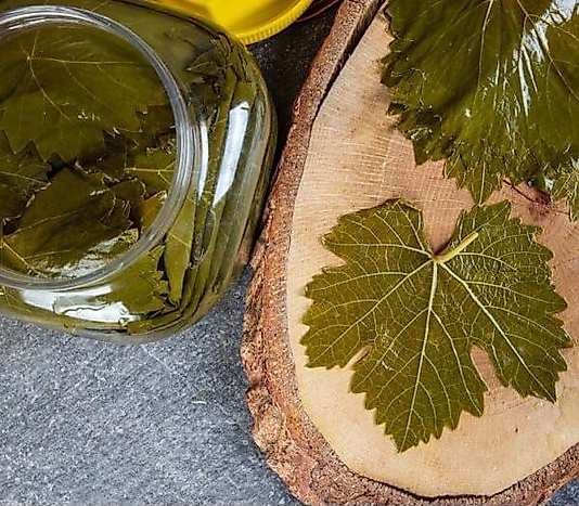 Asma Bağ Yaprağı Bidonu 5 kg