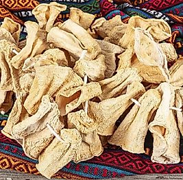 Dolmalık Kuru Kabak