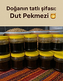 Dut Pekmezi