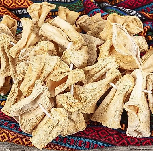 Dolmalık Kuru Kabak