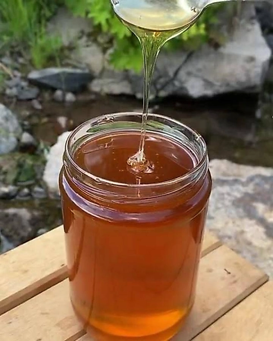 Sızma  karakovan balı